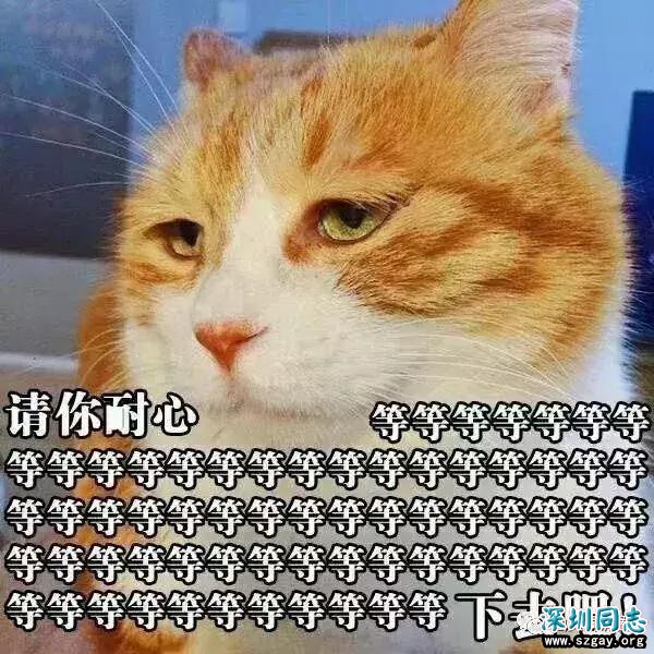 wIc1ccuRx0Li8i88.jpg