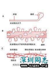 RoPQ0q6ai7722LQt.jpg