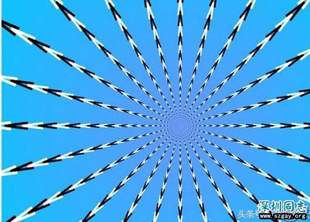 Wsmmz2VPz2sf203l.jpg