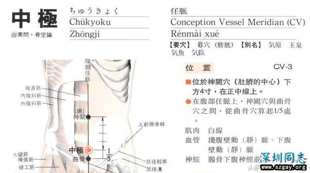 Wa6e670X6Ztc6cEx.jpg