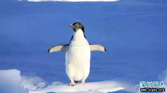 wtjfSRNt62QaJtB6.jpg