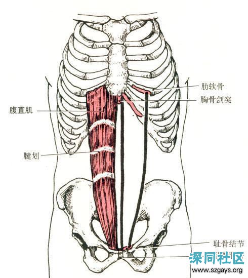 ΪʲôеֻĿ鸹ѵ鸹